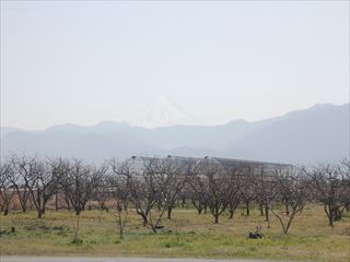 パソコン,リウマチ,SIRIUS富士